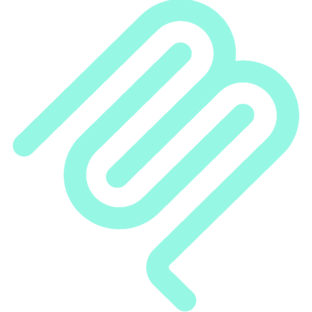 MCP Server Icon